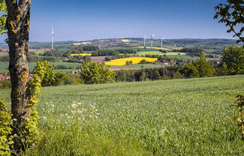 Landwirtschaftsflächen mit hohem Naturwert, © Adobe Stock_C.-J. Bautsch